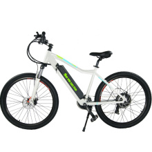 Fat Tire Mountain Bicicleta Elétrica 48 V 350 W Bafang Brushless Motor